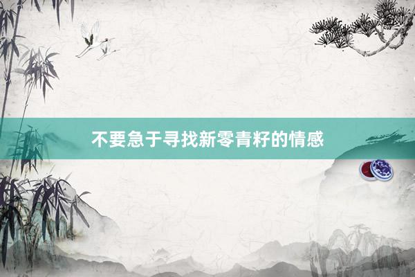 不要急于寻找新零青籽的情感
