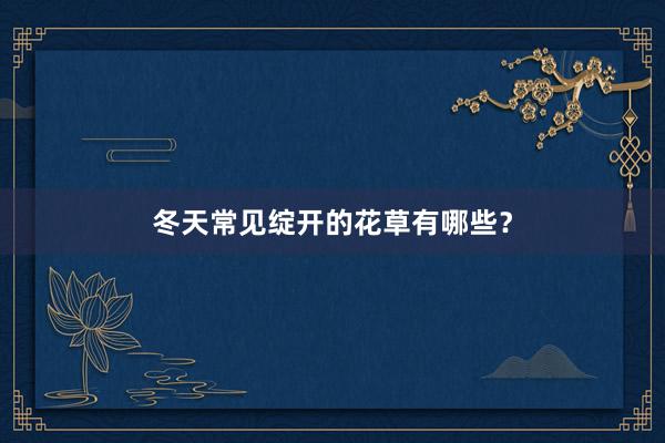 冬天常见绽开的花草有哪些?