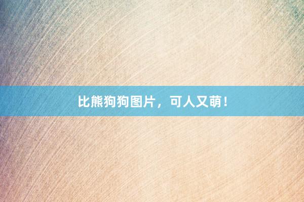 比熊狗狗图片，可人又萌！