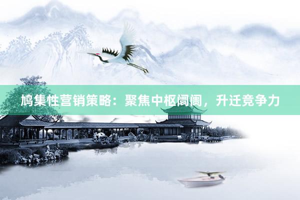鸠集性营销策略：聚焦中枢阛阓，升迁竞争力